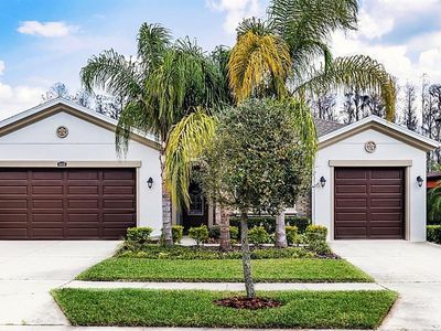 4486 Casella Dr, Wesley Chapel, FL, 33543