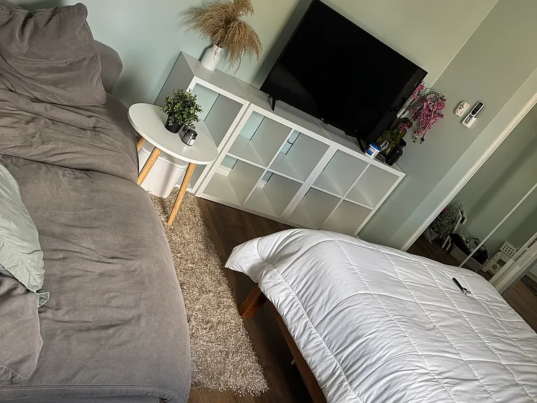 ADU with smart television and couch