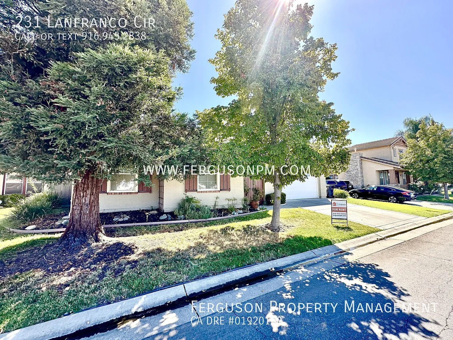 Gorgeous Four Bedroom in Mature North Natomas Home with In-Law Suite — Photo 2