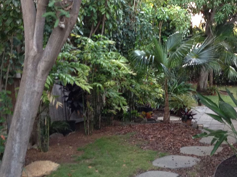 path leading to yard