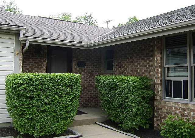 1st image of 353 S Seffner Ave