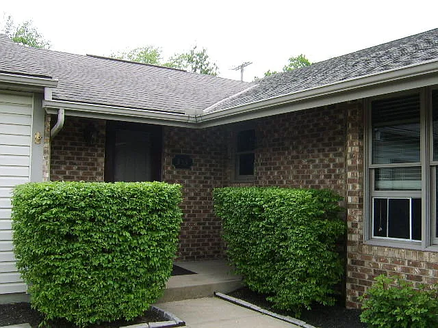 353 S Seffner Ave photo 1