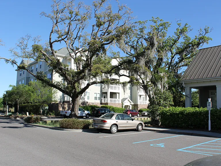 Beautiful Oak Trees and views