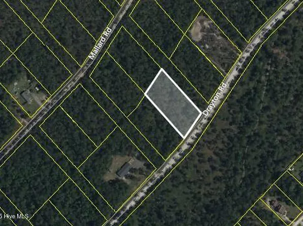 Lot 18 Drayton Road, Boiling Spring Lakes, NC 28461
