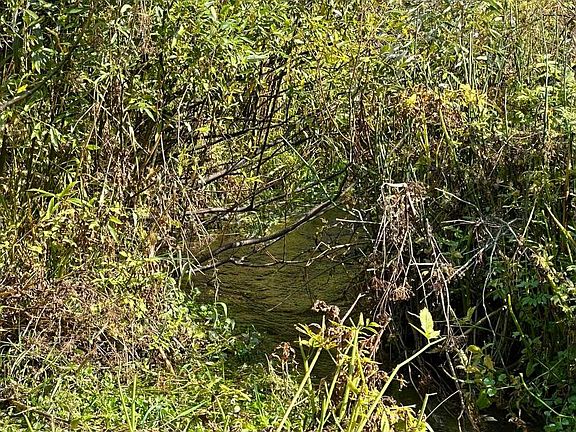 3rd image of Spring Meadows Rd