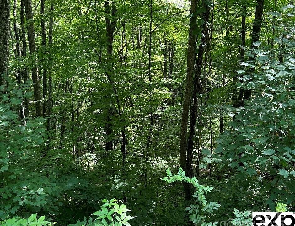 2nd image of 0 Conley Dr