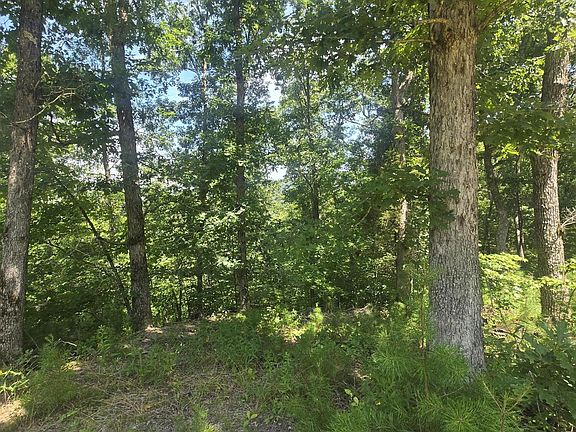 2nd image of 9999 Millstone Rd