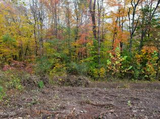 Whitman Hollow Rd, Lafollette, TN 37766