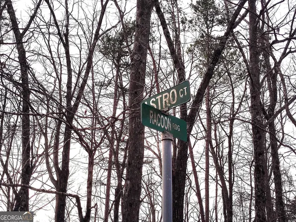 1036 Astro Ct NE, Ranger, GA 30734