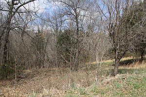 1st image of LOT 8 Wild Rose Dr