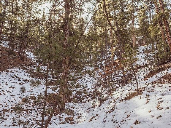 4th image of Gulch Road