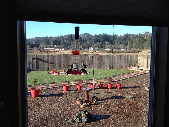 Backyard 115 Stoneway LN