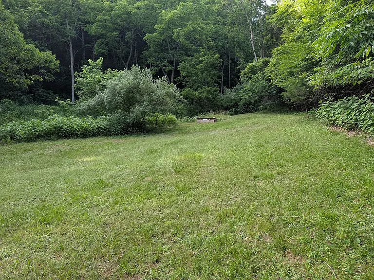 1828 Falling Branch Rd — Photo 6