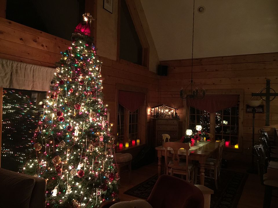 Christmas Dinner by the Tree