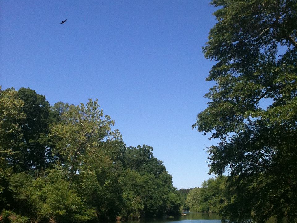 10 acres up river on right.