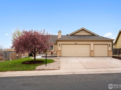 4342 Sunridge Dr, Loveland, CO, 80538