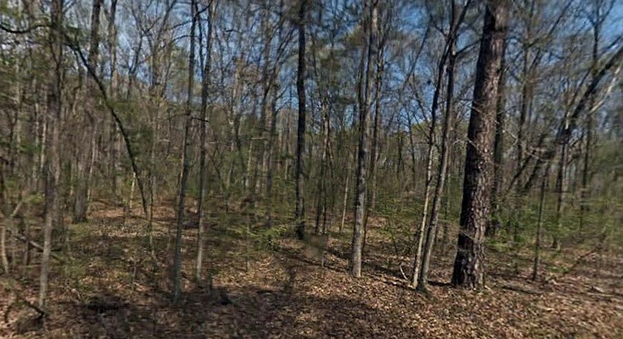 2nd image of Reynolds Bridge Rd