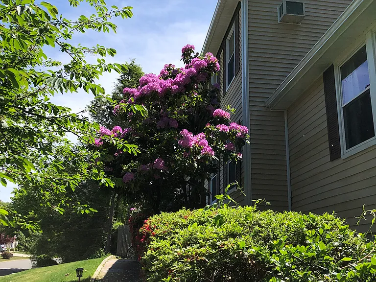 Detmer Rd — Photo 2