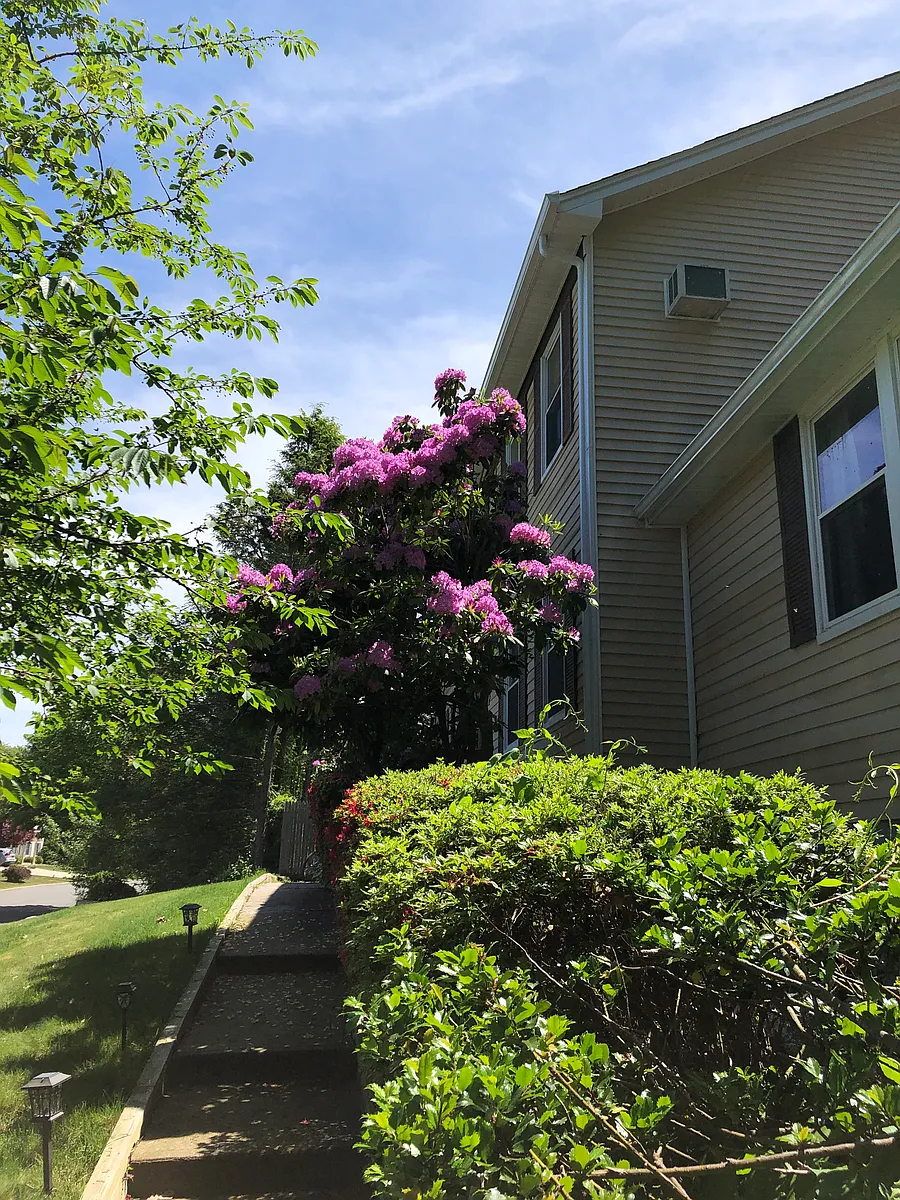 Building Photo - Detmer Rd