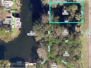 0 Richard Dr, Spring Hill, FL 34607