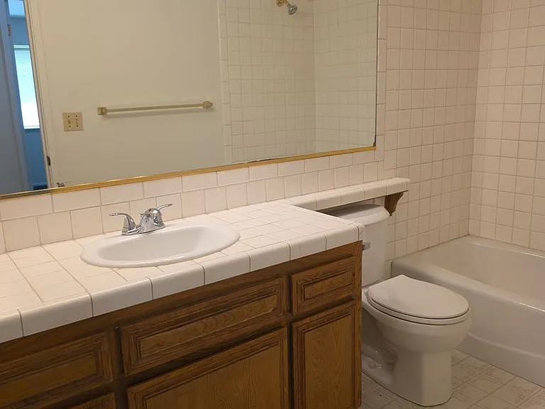 6508 Pine Borough Ct — Photo 17