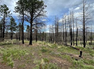 533 Leslie Loop, Fort Garland, CO 81133