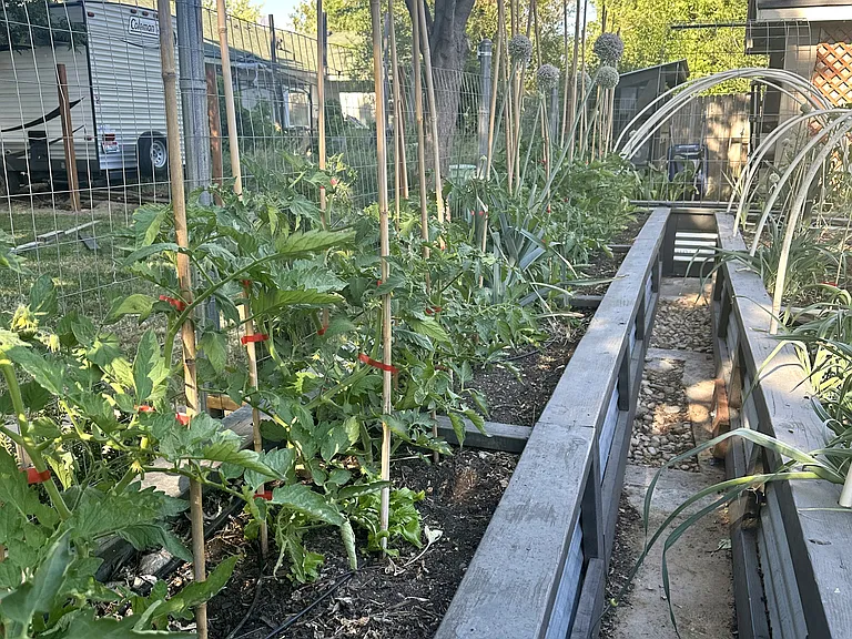 Main garden bed