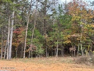 2nd image of 458 Cody Ln #23