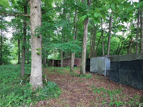 4th image of 256 Augustus Dr