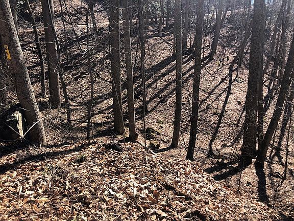 5th image of LOT 13 Alpine Dr