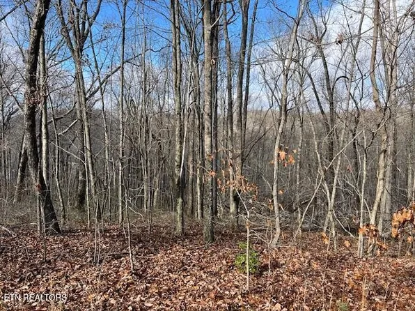 0 Belmont Dr Lot 7, Monterey, TN 38574