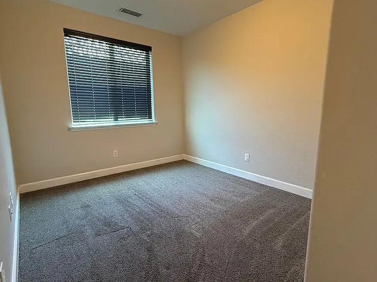 1243 Bristlecone Dr — Photo 7