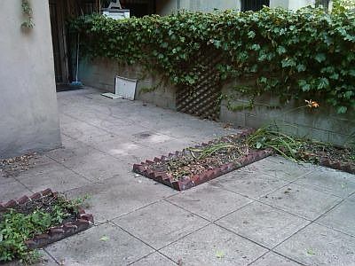 5th image of 246 W 102nd St APT B