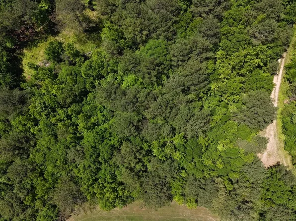 Draper Rd, Somerville, AL 35670