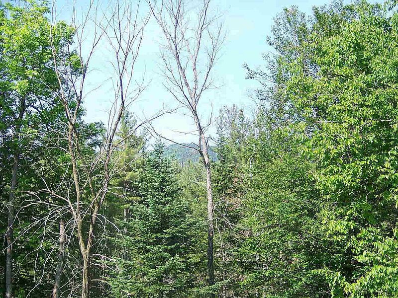 4th image of 000 S Johnsburg Rd/glen Creek Road