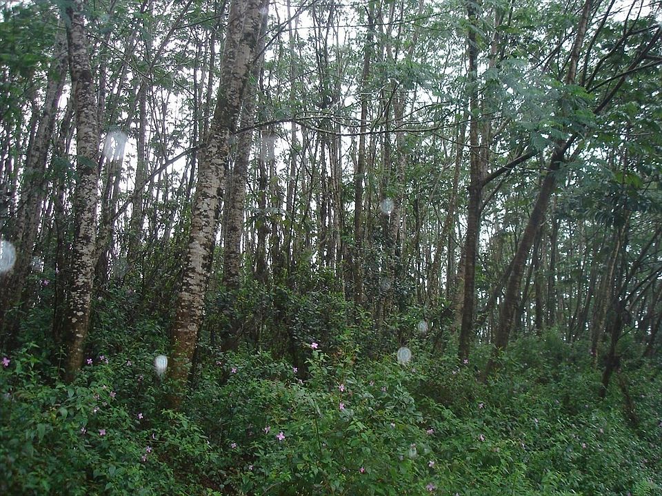 2nd image of S Leilani Blvd Lot 63