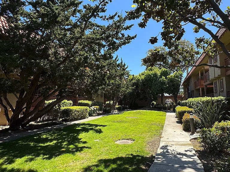 1045 Alta Mira Dr #B — Photo 13