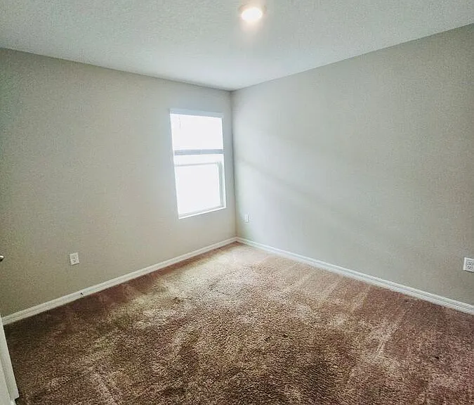 34436 Moonflower Ave — Photo 10