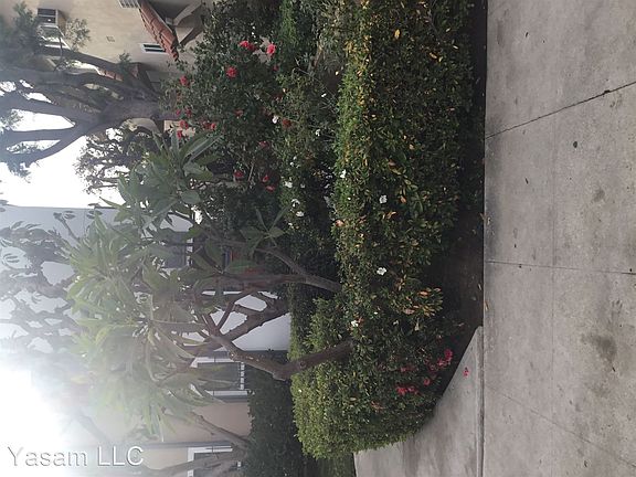 5th image of 3509 Mentone Ave #7