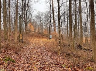 Heston Rd, Kimbolton, OH 43749