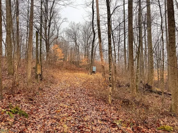 Heston Rd, Kimbolton, OH 43749