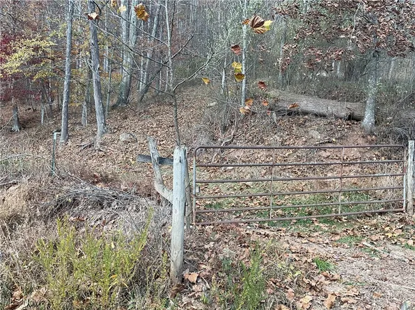 0 White Oak Run Rd, Walker, WV 26180