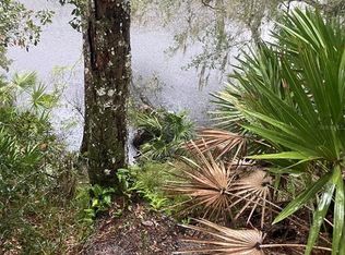 1783 Taylor Rd LOT 250, Pt Orange, FL 32128