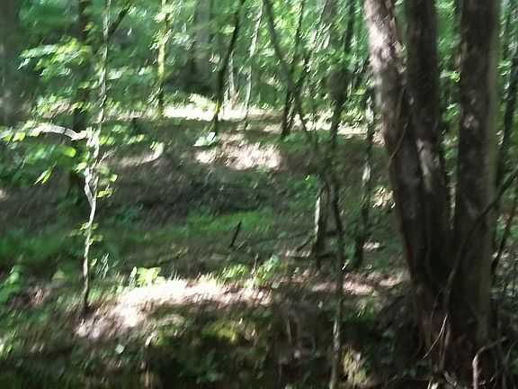Cain Creek