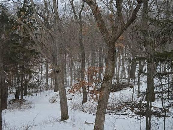 4th image of W4240 White Swan Ln