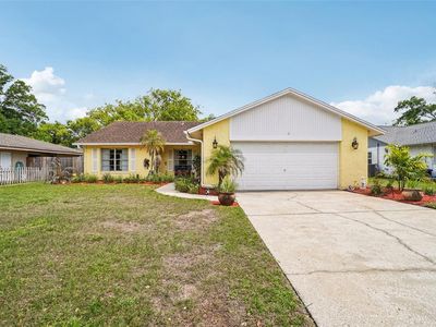 17803 SUNRISE DRIVE, Lutz, FL, 33549