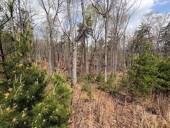 4th image of 21 Yonah Mountain Dr