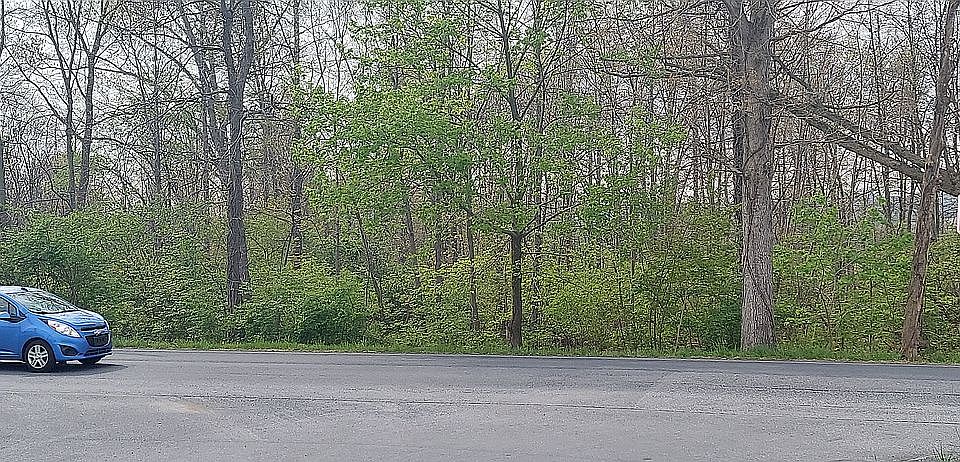 2nd image of 534 Greble Rd