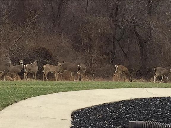 Meet your neighbors!