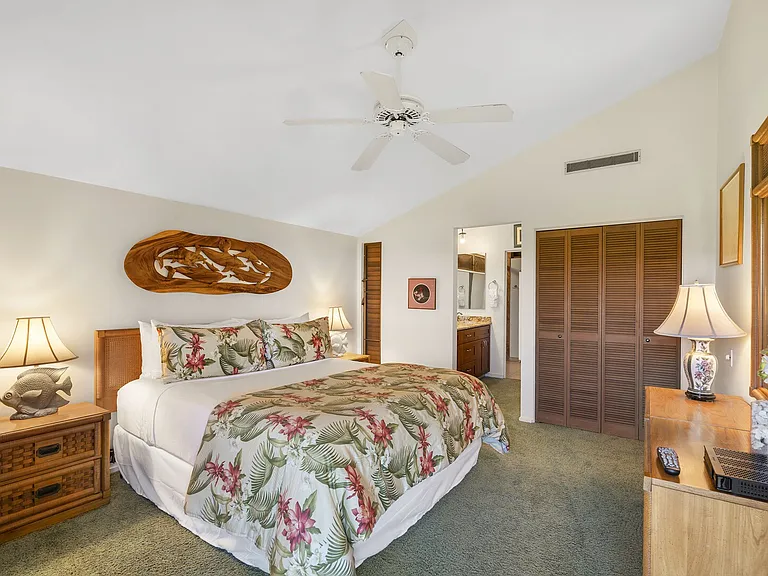 Wailea Alanui Dr — Photo 23